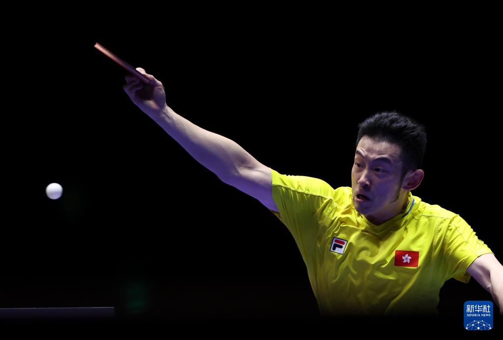 了新的活力 了新的活力