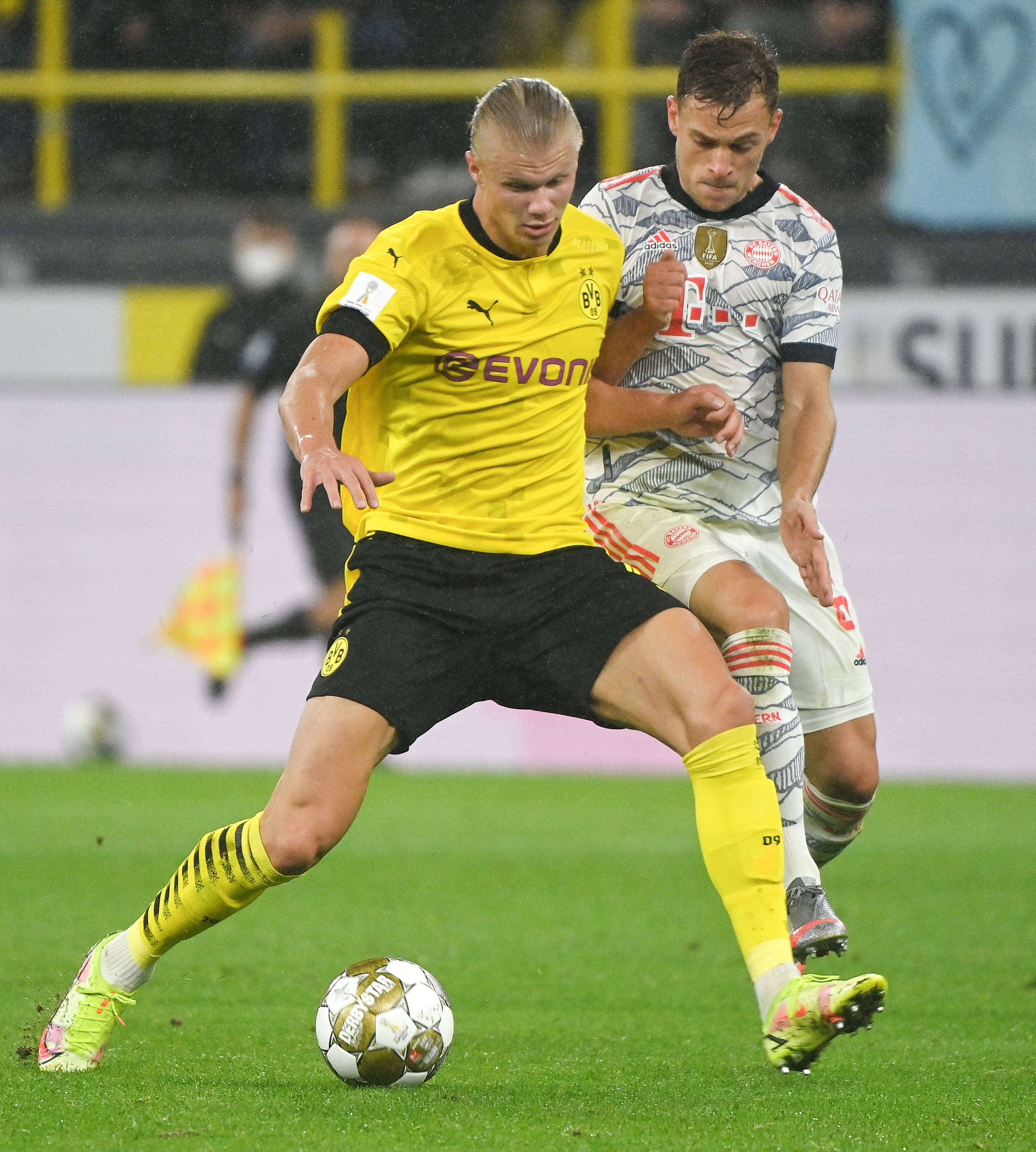 野辅的游走 野辅的游走